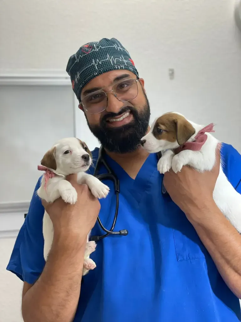 Pet care at Union City Veterinary Medical Center