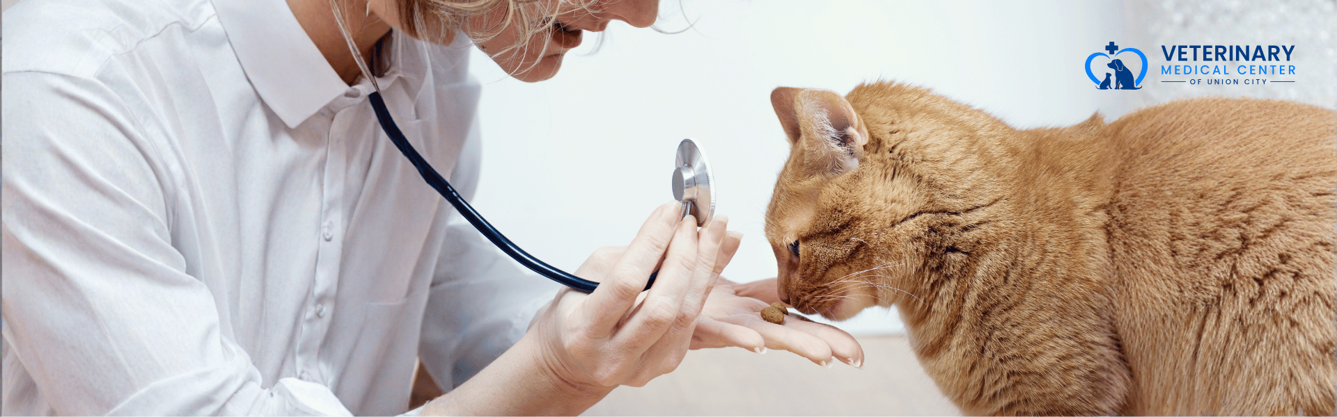 Responsible Pet Care Through Spay & Neuter