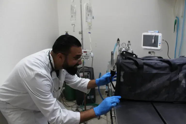 Veterinarian at Union City Veterinary Medical Center